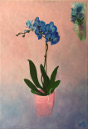 Blue Orchids